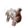 Philippine Tarsier